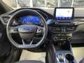 Ford Kuga Kuga 2.5 full hybrid ST-Line Design 2wd 190cv cvt Grau - thumbnail 18