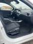 BMW 116 116d Business Blanco - thumbnail 16