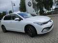 Volkswagen Golf VIII 1.0 TSI OPF United Weiß - thumbnail 5