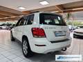 Mercedes-Benz GLK 220 CDI BlueEfficiency 4Matic  Klima e-Sitze * Blanco - thumbnail 3