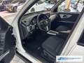 Mercedes-Benz GLK 220 CDI BlueEfficiency 4Matic  Klima e-Sitze * Blanco - thumbnail 13