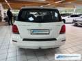 Mercedes-Benz GLK 220 CDI BlueEfficiency 4Matic  Klima e-Sitze * Blanco - thumbnail 7