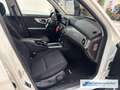 Mercedes-Benz GLK 220 CDI BlueEfficiency 4Matic  Klima e-Sitze * Blanco - thumbnail 8