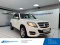 Mercedes-Benz GLK 220 CDI BlueEfficiency 4Matic  Klima e-Sitze * Blanco - thumbnail 1