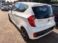 Kia Picanto Edition 7 Gasanlage Klima,Bluetooth,Elh Weiß - thumbnail 5