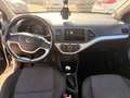 Kia Picanto Edition 7 Gasanlage Klima,Bluetooth,Elh Weiß - thumbnail 9