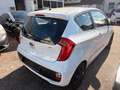 Kia Picanto Edition 7 Gasanlage Klima,Bluetooth,Elh Weiß - thumbnail 6