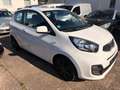 Kia Picanto Edition 7 Gasanlage Klima,Bluetooth,Elh Weiß - thumbnail 2