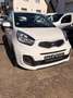 Kia Picanto Edition 7 Gasanlage Klima,Bluetooth,Elh Weiß - thumbnail 3