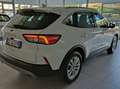 Ford Kuga Kuga III 2020 1.5 ecoblue Titan.Busines 120cv auto Blanc - thumbnail 8