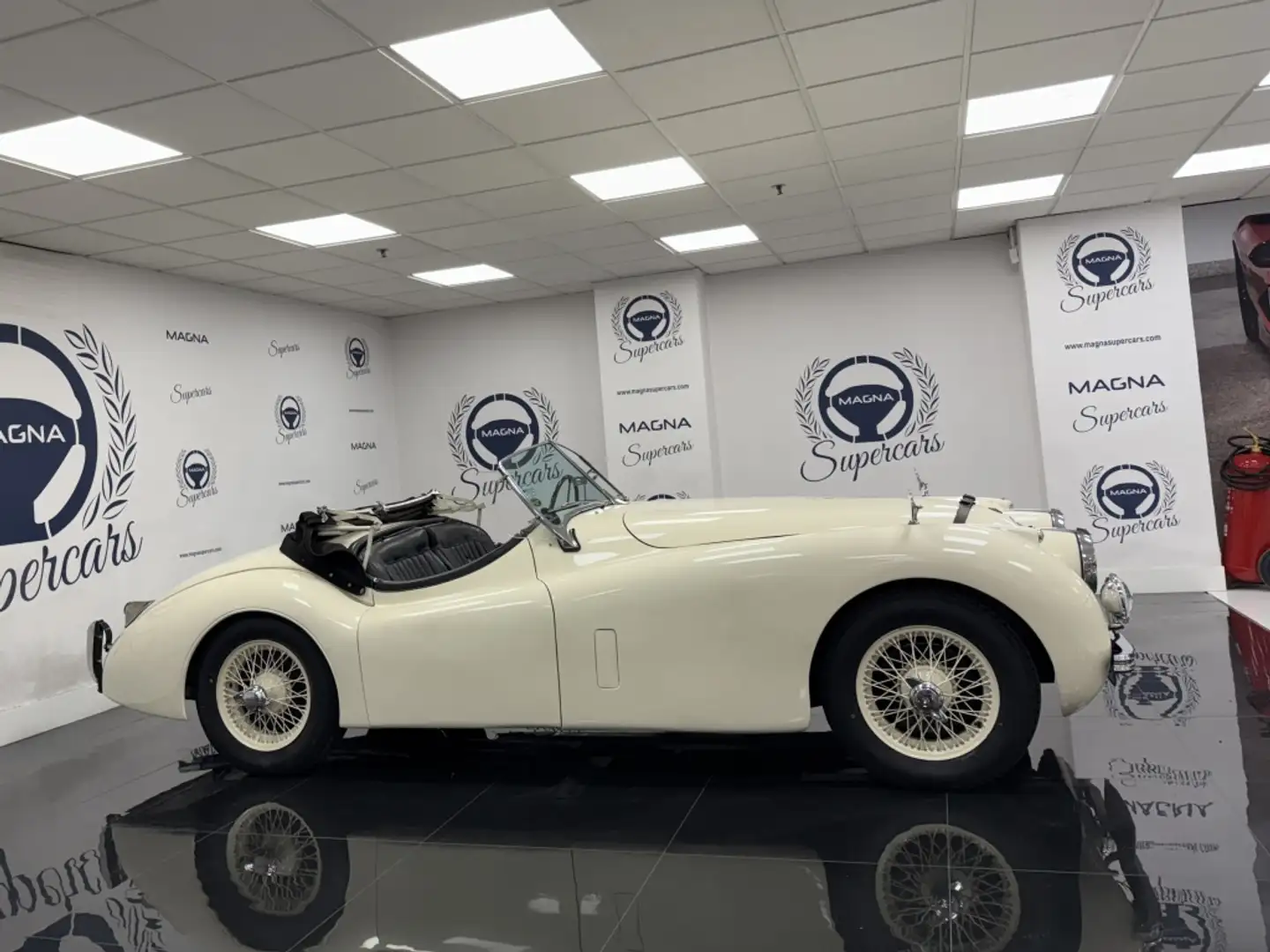 Jaguar XK 120 Roadster Beige - 2