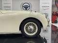 Jaguar XK 120 Roadster Beige - thumbnail 23