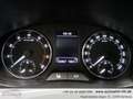 Skoda Fabia Combi Scout*1Vorb*Servicegep*PDC H*Sitzhe.*LM-Felg Beige - thumbnail 16