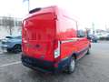 Ford Transit Kasten DoKa 310 L2 Trend Doppelkabine Rot - thumbnail 5