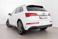 Audi Q5 S line 40 TDI qu. S tr. STDHZG MATRIX NAVI VI Weiß - thumbnail 6