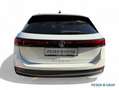 Volkswagen Passat Variant Business 2.0 TDI DSG/LED/Area View/Sitzhzg./AHK/Na Weiß - thumbnail 6