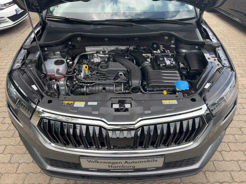 Skoda Karoq 1.5 TSI DSG Balance Sitzhzg LED AHK — photo 12