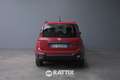 Fiat Panda Pandina 1.0 Firefly Hybrid 70CV Cross Rosso - thumbnail 5