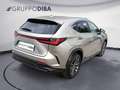 Lexus NX 450h+ II 2022 450h+ 2.5 phev Premium 4wd 309cv e-cvt Argent - thumbnail 5