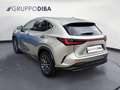 Lexus NX 450h+ II 2022 450h+ 2.5 phev Premium 4wd 309cv e-cvt Argent - thumbnail 6