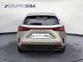 Lexus NX 450h+ II 2022 450h+ 2.5 phev Premium 4wd 309cv e-cvt Argent - thumbnail 7