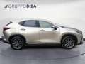 Lexus NX 450h+ II 2022 450h+ 2.5 phev Premium 4wd 309cv e-cvt Argent - thumbnail 8