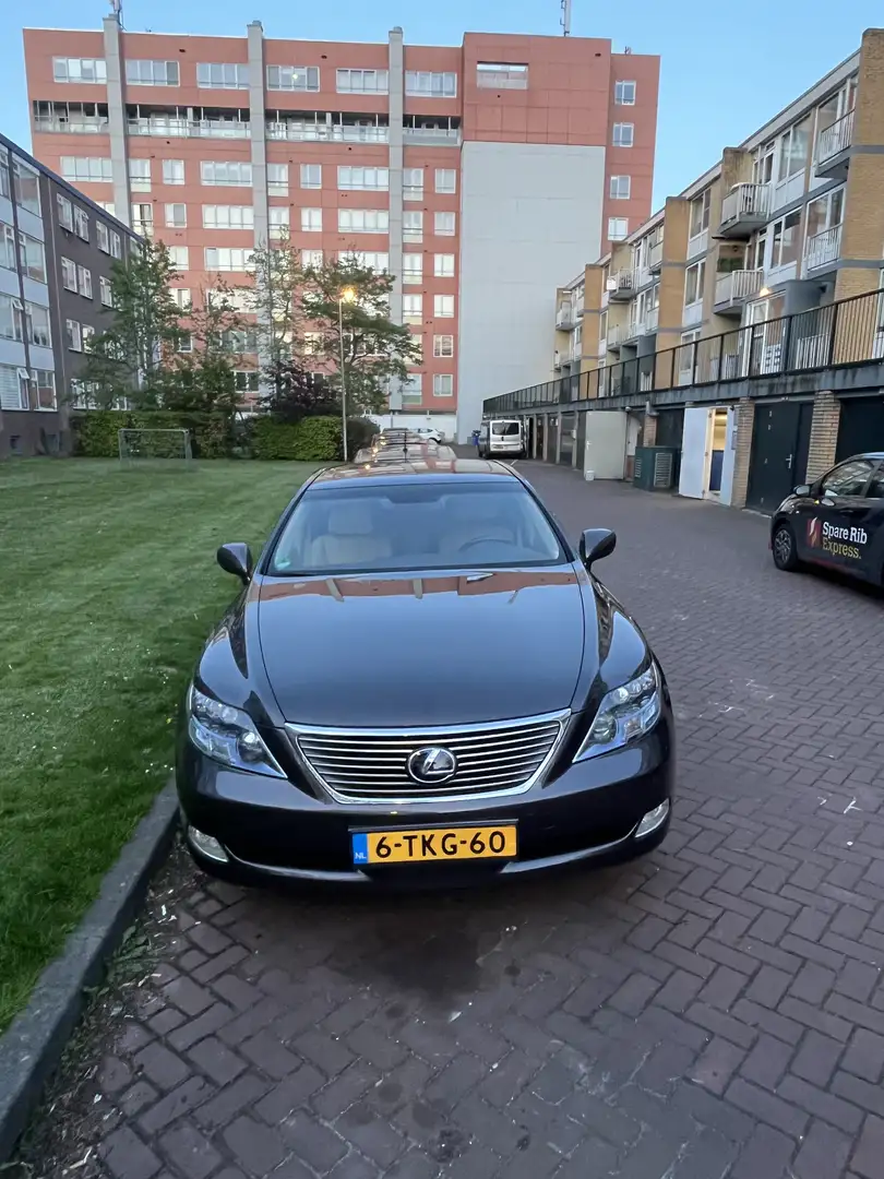 Lexus LS 600 600h - 2