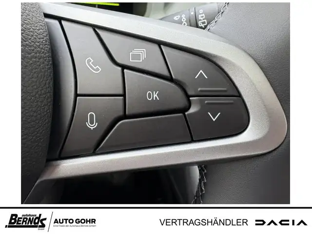 Dacia Bigster view 10