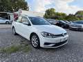 Volkswagen Golf VII 1.6 TDI Variant/1.Hand/Navi Weiß - thumbnail 3