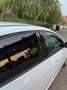 Ford Focus Focus 5p 1.5 tdci Business s Bianco - thumbnail 2