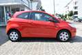 Ford Ka/Ka+ Trend Rot - thumbnail 2