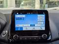 Ford EcoSport 1.0 EcoBoost Automatik Titanium, Winterräder, Kame Grigio - thumbnail 18