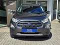 Ford EcoSport 1.0 EcoBoost Automatik Titanium, Winterräder, Kame Grigio - thumbnail 3