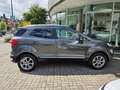 Ford EcoSport 1.0 EcoBoost Automatik Titanium, Winterräder, Kame Grigio - thumbnail 8