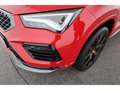 CUPRA Ateca 2.0 TSI 4Drive AHK/P-Dach/el.Heckklappe/SH Rot - thumbnail 7