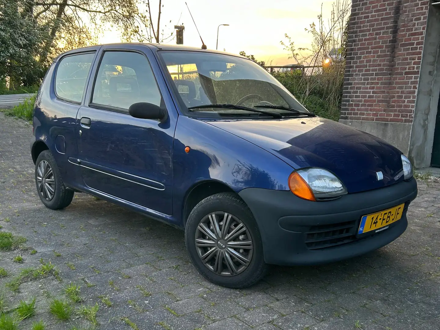 Fiat Seicento 1100 ie Young Blauw - 1