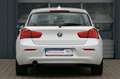 BMW 116 116i Alb - thumbnail 8