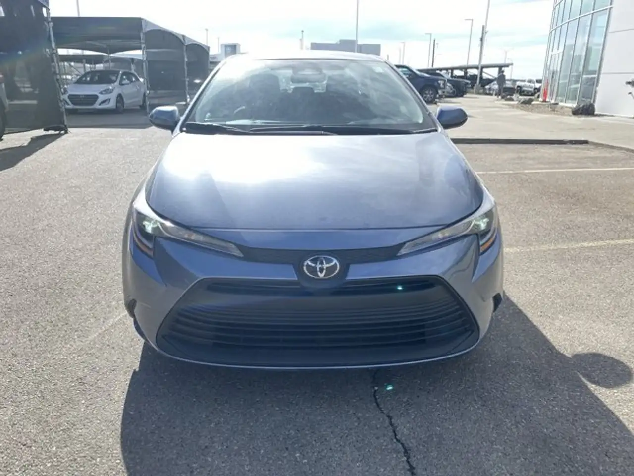 Toyota Corolla снимка Toyota Corolla
