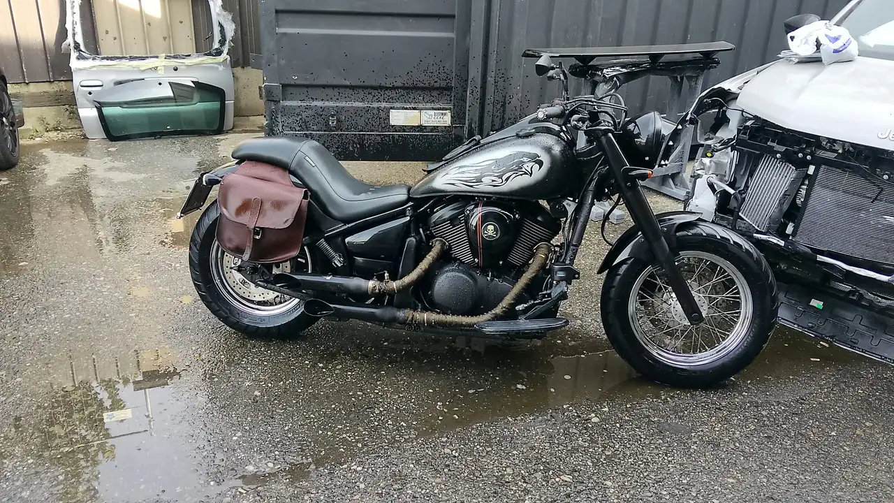 Kawasaki VN 900