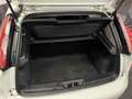 Fiat Punto More Weiß - thumbnail 7
