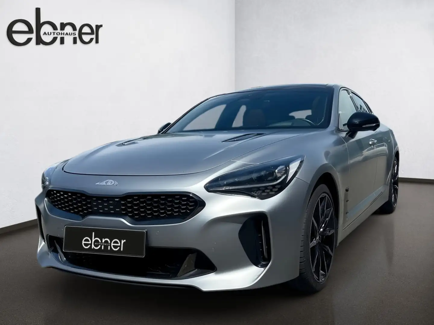 Kia Stinger 3.3T AWD I Tribute 249/1000 I Panoramdac Silber - 2