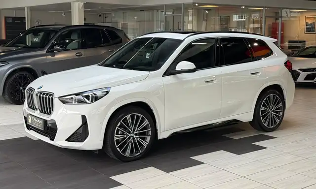 BMW X1 view 2