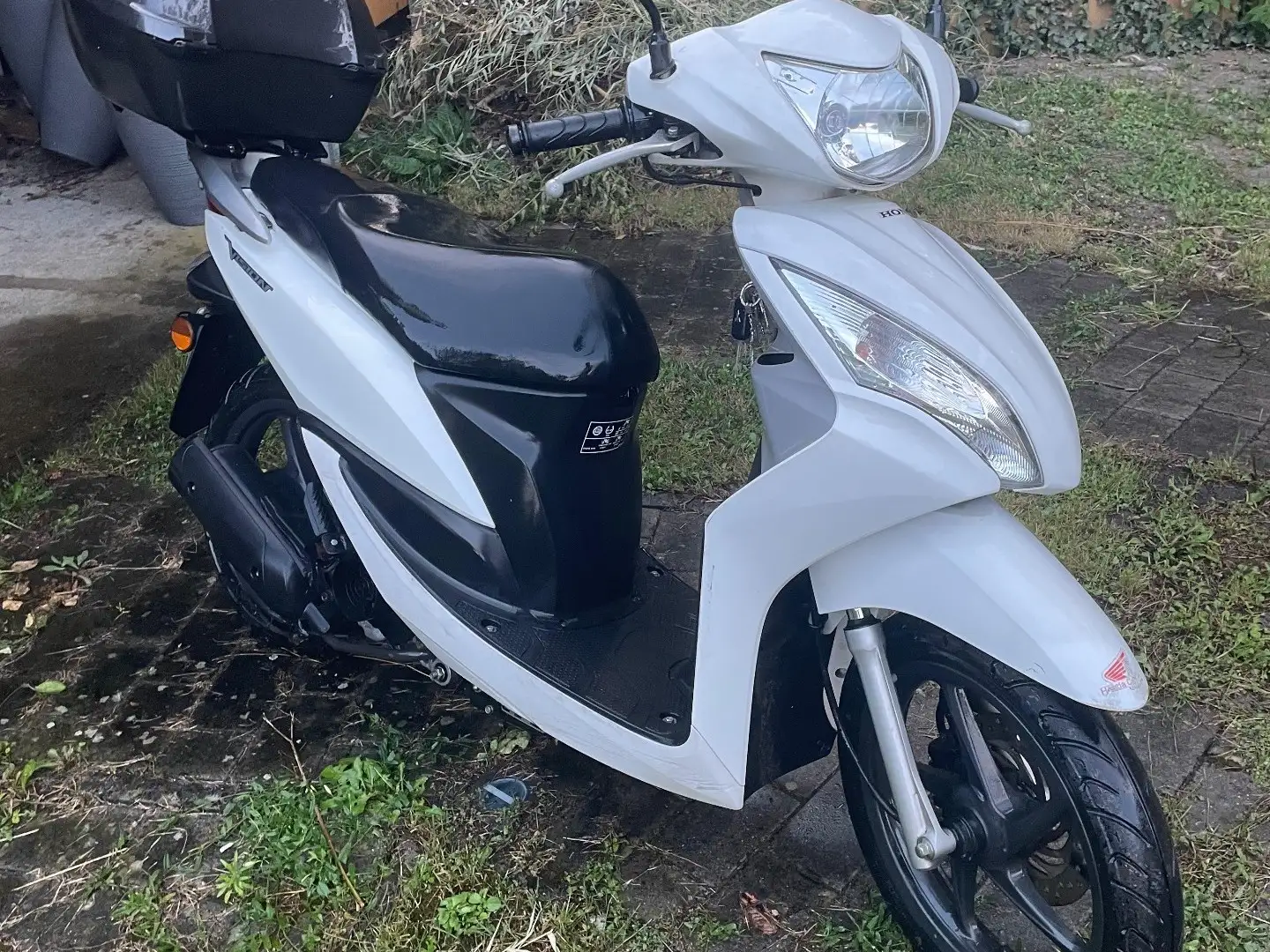 Honda Vision 50 Bianco - 1