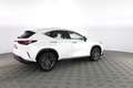 Lexus NX 300h Hybrid Premium Bianco - thumbnail 3