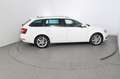 Skoda Octavia Style Limited TDI DSG Bianco - thumbnail 4