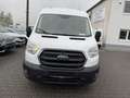 Ford Transit Kasten L2H2 Trend 2.0 TDCI, Euro 6 Weiß - thumbnail 9