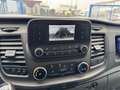 Ford Transit Kasten L2H2 Trend 2.0 TDCI, Euro 6 Weiß - thumbnail 15