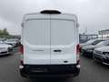 Ford Transit Kasten L2H2 Trend 2.0 TDCI, Euro 6 Weiß - thumbnail 11