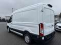 Ford Transit Kasten L2H2 Trend 2.0 TDCI, Euro 6 Weiß - thumbnail 3