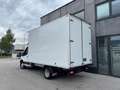 Ford Transit Weiß - thumbnail 5